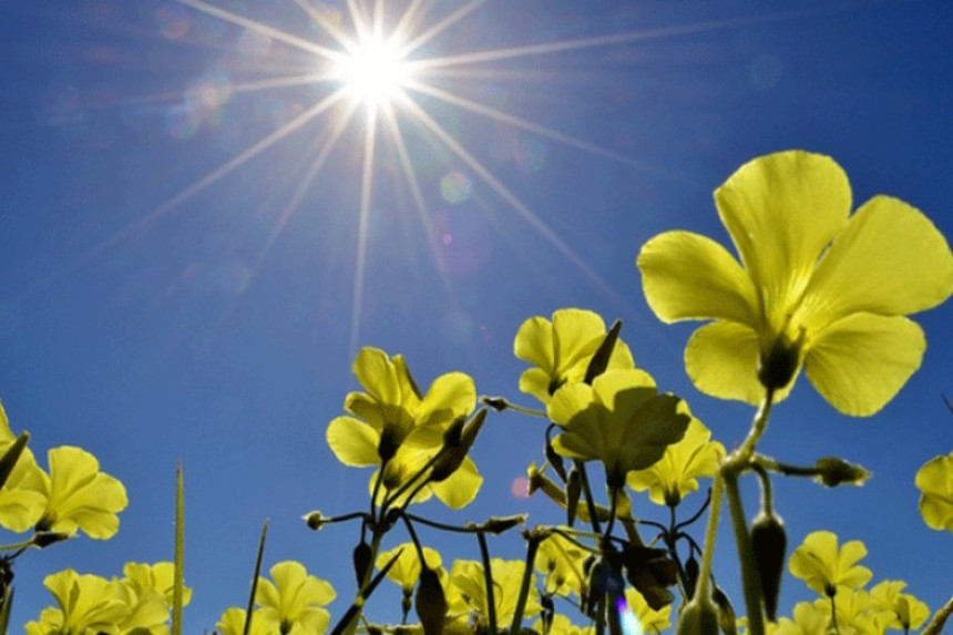 Sunčano i veoma toplo, temperatura do 32 stepena