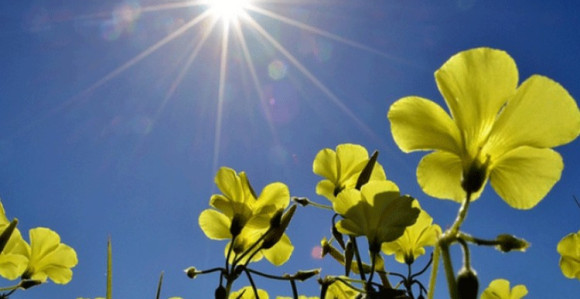 Sunčano i veoma toplo, temperatura do 32 stepena