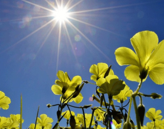Sunčano i veoma toplo, temperatura do 32 stepena