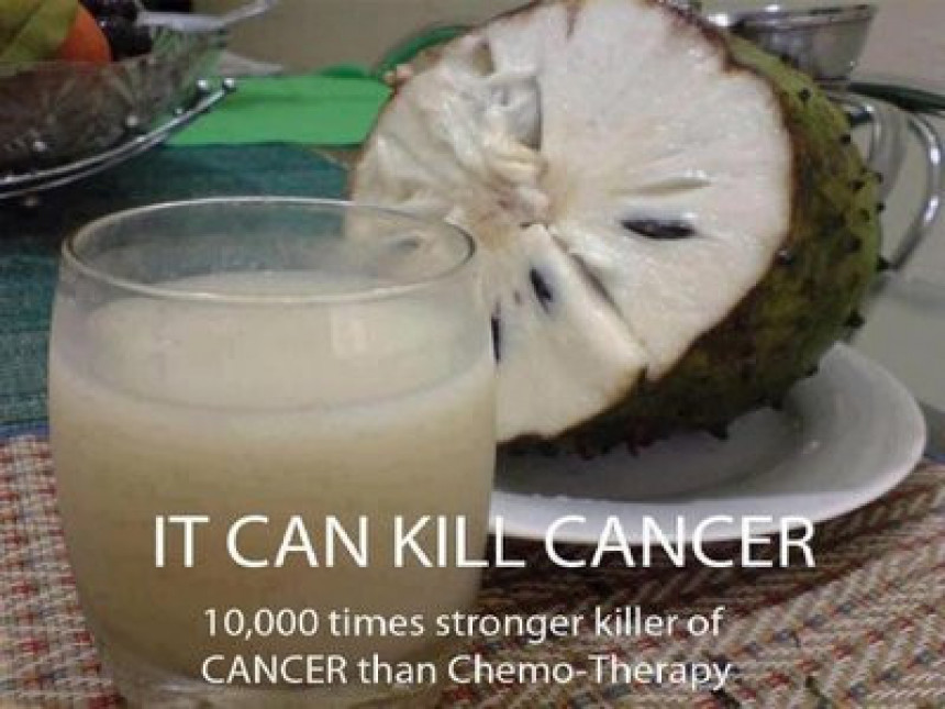 Ispravka: Graviola ne liječi rak i nije “10.000 puta” učinkovitija od hemoterapije