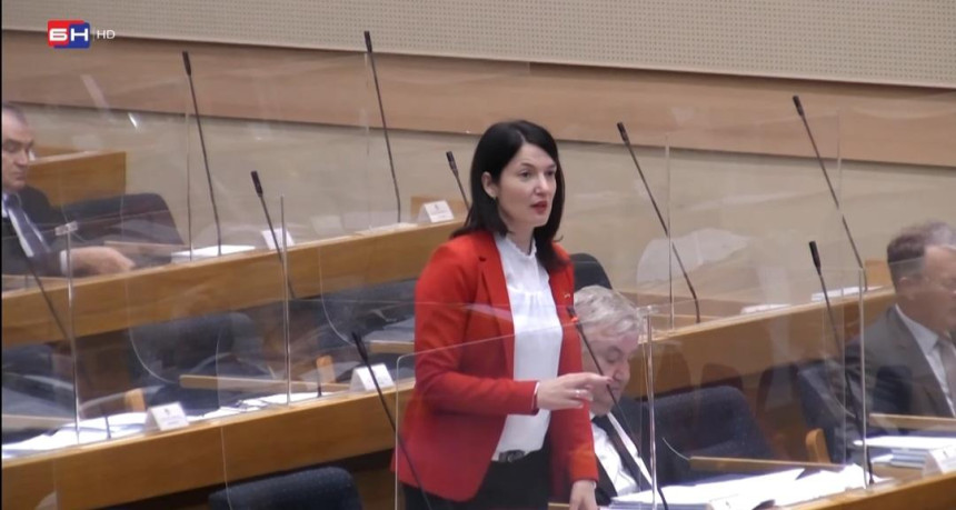 Trivić: Problemi se ne rješavaju slikanjem sa velikim