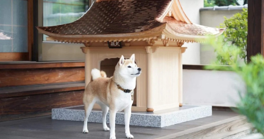 Japanci izgradili luksuznu kućicu za pse koja košta 150.000 dolara!