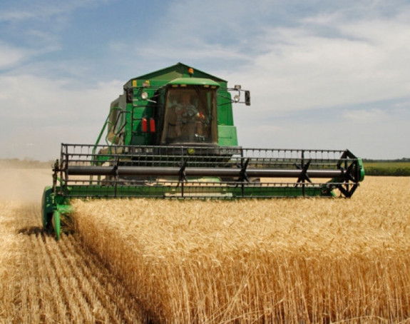 Očekuje se korektna cijena otkupa pšenice