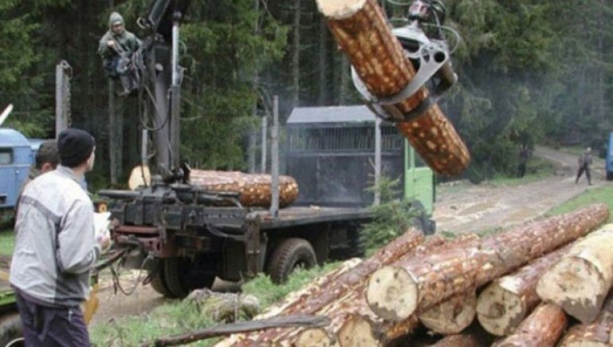 Odlučeno: Veće plate šumarima, štrajk se prekida