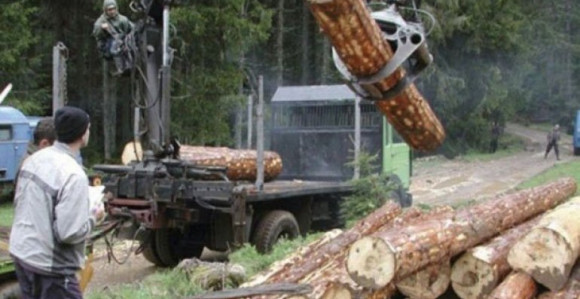 Odlučeno: Veće plate šumarima, štrajk se prekida