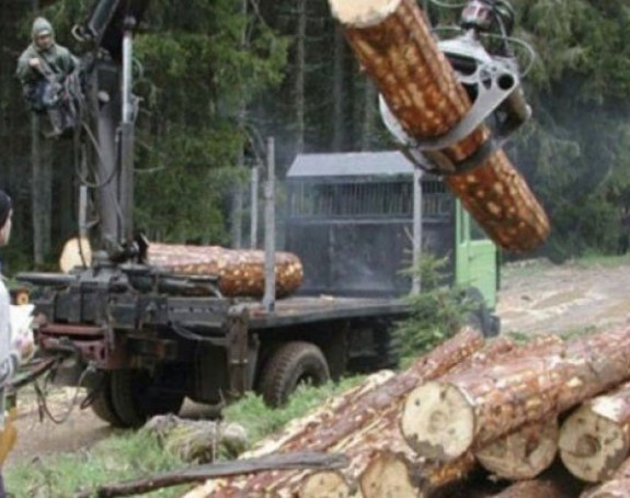 Odlučeno: Veće plate šumarima, štrajk se prekida