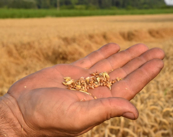 Višković i Pašalić ne žele na sastanak sa poljoprivrednicima