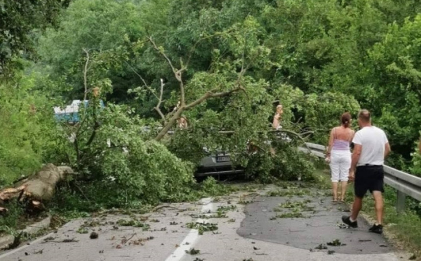 Foča: Snažan vjetar oborio drveće na automobil