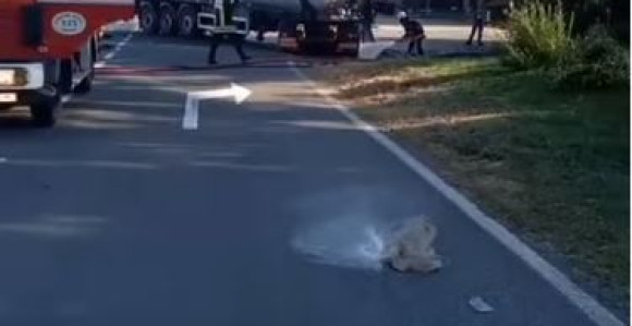 Stravičan udes: Cisterna planula, smrskano vozilo