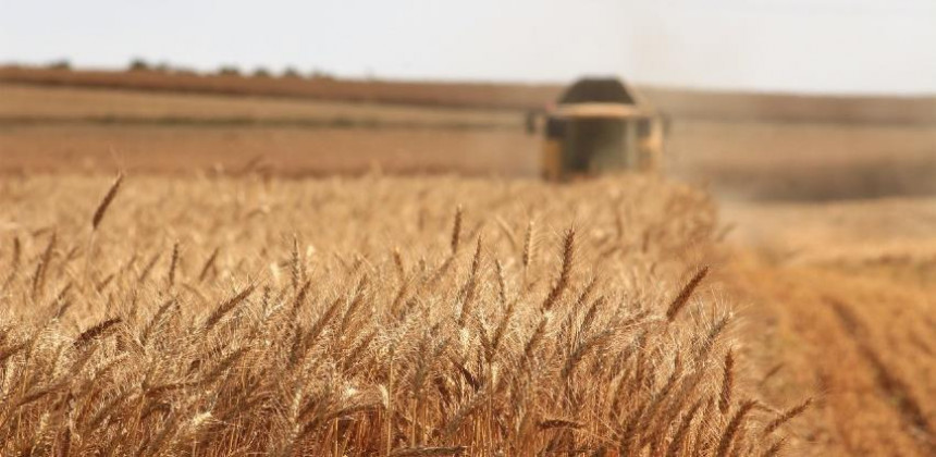 Пољопривредници понижени, пшеница треба бити 0,70 КМ