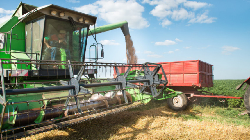 Ратари муку муче: Нема још откупне цијене пшенице