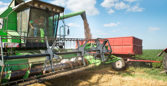 Ратари муку муче: Нема још откупне цијене пшенице