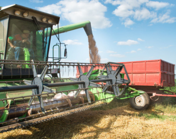 Ratari muku muče: Nema još otkupne cijene pšenice