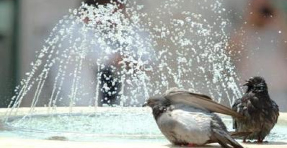 Uveli vanrednu situaciju zbog ekstremnih vrućina