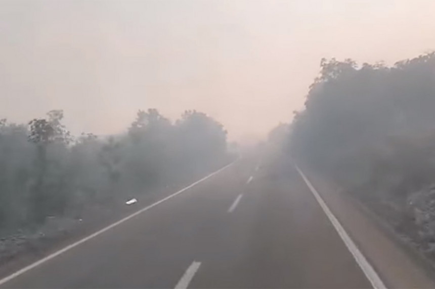 Šumski požar kod Bileće, mještani pomažu u gašenju