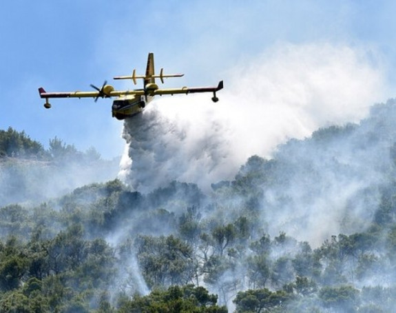 Savjet ministara BiH traži pomoć za gašenje požara