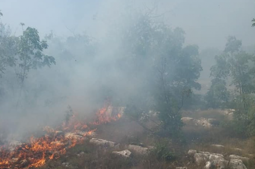 I dalje aktivan požar u Gornjim Davidovićima