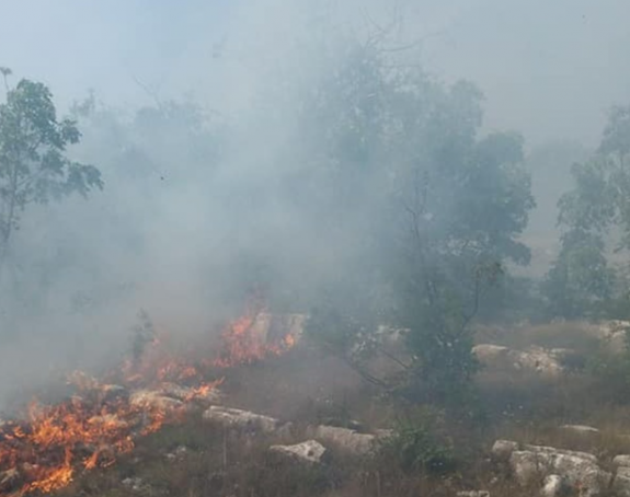 I dalje aktivan požar u Gornjim Davidovićima