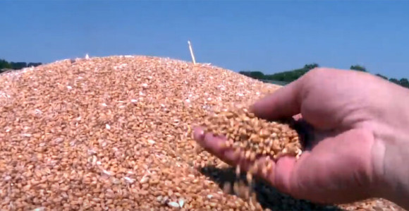 Ukrajina potpisala sporazum o izvozu žita sa Turskom i UN