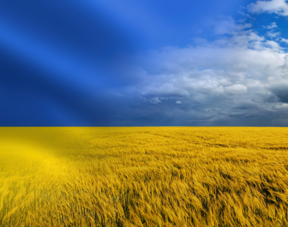 Erdogan: Narednih dana počinje izvoz žita Crnim morem