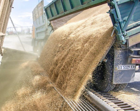 UN: Izvoz žita crnomorskom rutom za nekoliko dana