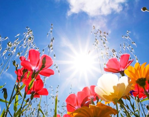 Pretežno sunčano, na istoku biće i nešto kiše