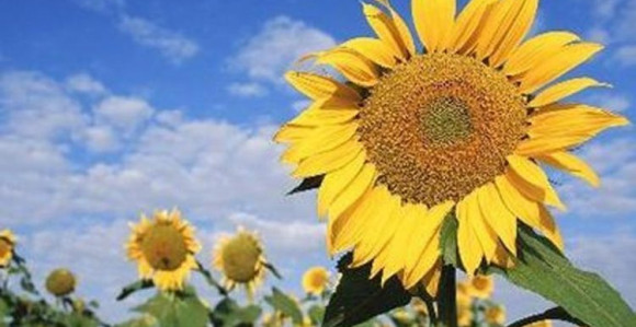 Danas sunčano i toplo vrijeme u Srpskoj