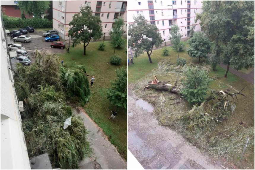 Дрво пало на зграду, оштећени и паркирани аутомобили