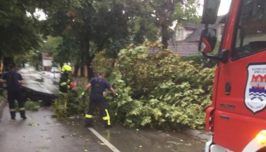 Vjetar obarao stabla u Banjaluci