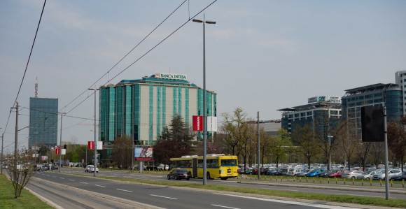 Jeziva scena na Novom Beogradu (VIDEO)