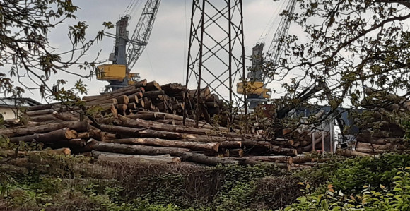 Rast proizvodnje i prodaje šumskih sortimenata