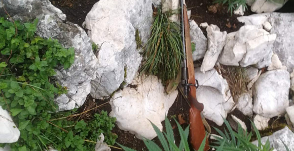 Nevesinje: Policija pronašla stabljike indijske konoplje