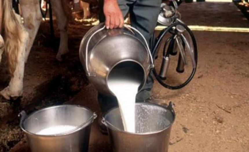 BiH prijeti nestašica mlijeka, očekuje se rast cijena