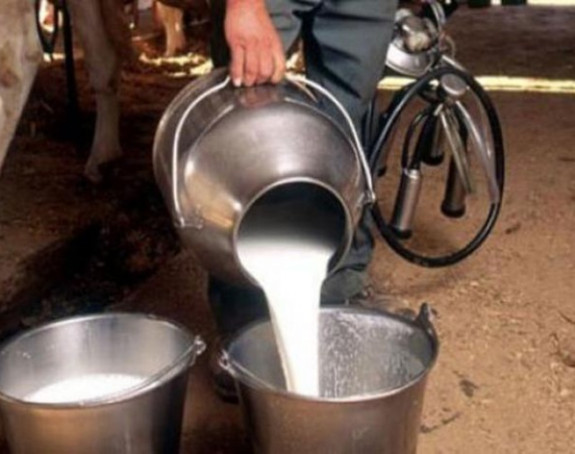 BiH prijeti nestašica mlijeka, očekuje se rast cijena
