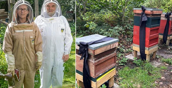 Kako je kraljevskim pčelama saopšteno da je Elizabeta II preminula!?