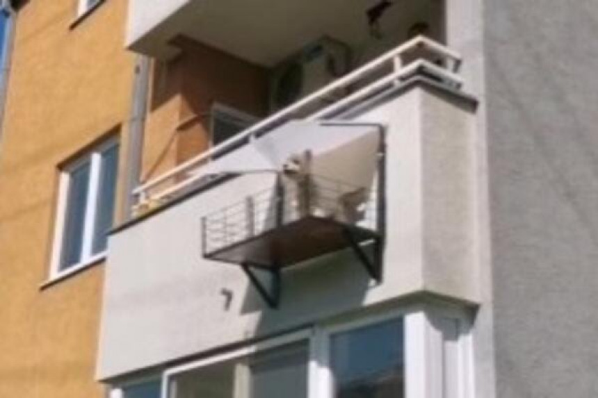 Beograđanin napravio balkon za psa!