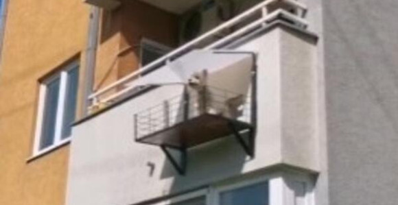 Beograđanin napravio balkon za psa!
