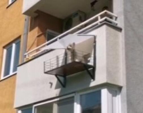 Beograđanin napravio balkon za psa!