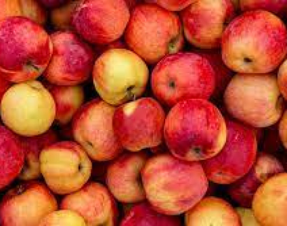 Proizvode iz BiH nema ko da vozi u Rusiju