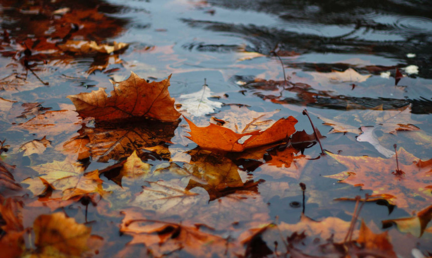 Danas promjenljivo vrijeme, padavine poslije podne