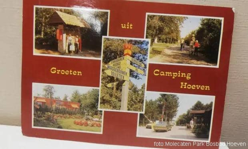 Holanđanka nakon 42 godine će dobiti razglednicu!