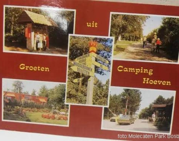 Holanđanka nakon 42 godine će dobiti razglednicu!