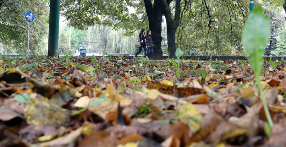 Danas pretežno oblačno, moguća slaba kiša ponegdje