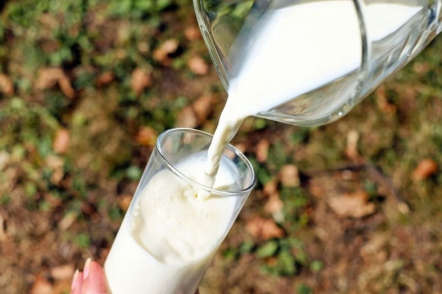Od mlijeka u BiH stranci najviše imaju profita