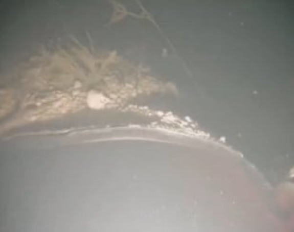 Rezultati istrage pokazali: Uzrok snažne eksplozije