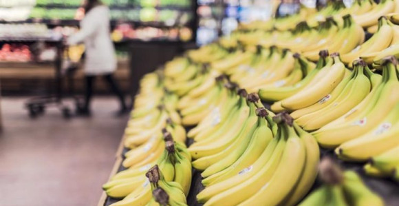 Hrvatska: 30 kg kokaina nađeno u paketima banana