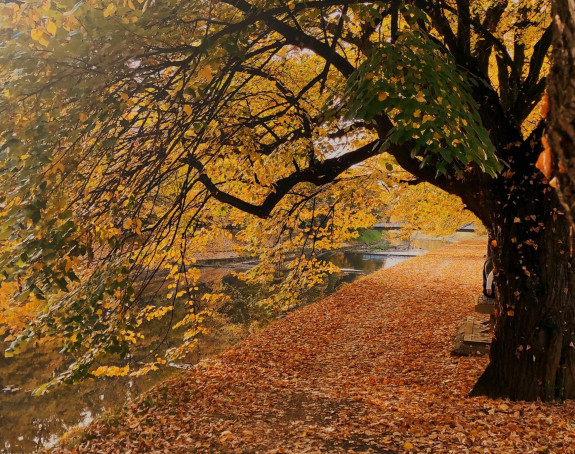 Danas promjenljivo oblačno i toplo za ovo doba godine