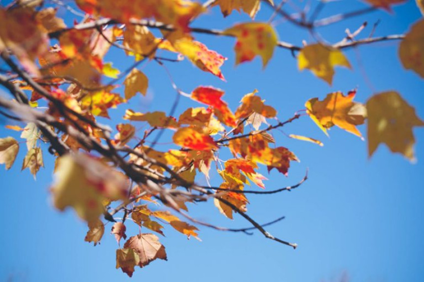Danas sunčano i toplo, temperatura do 25 stepeni