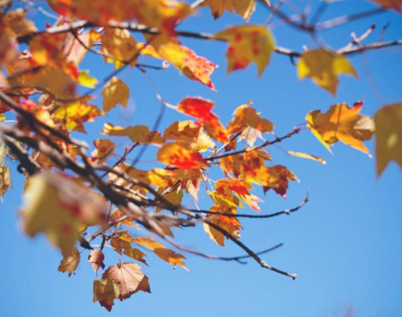 Danas sunčano i toplo, temperatura do 25 stepeni