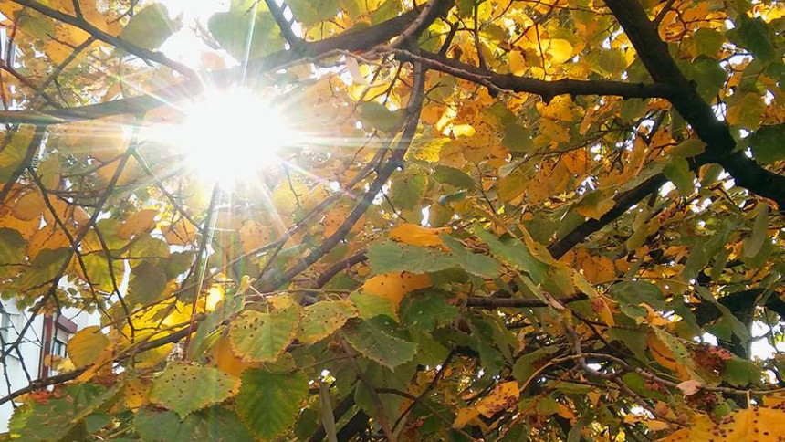 Danas sunčano i toplo, temperatura do 24 stepena